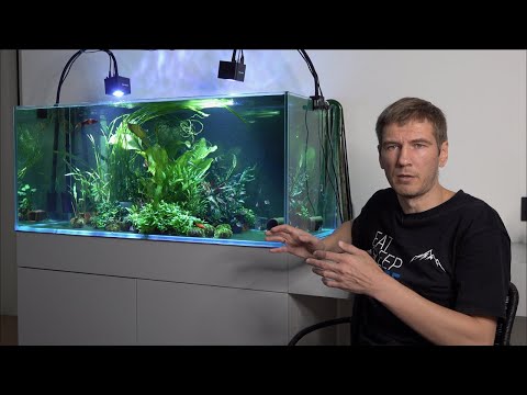 Видео: Травник без грунта. Обзор