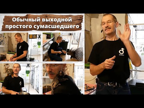 Видео: Обычный выходной простого сумасшедшего