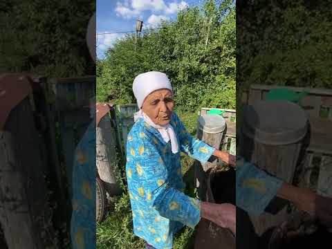Видео: Зарыгып көткән идегезме Хиффә әбине?рәхәтләнеп карагыз,лайк❤️комментарияларыгызны да җәлләмәгез🤗