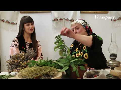 Видео: "ТРАВНИЦЯ". Кропива.