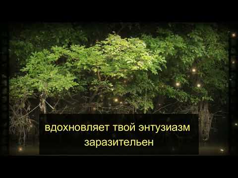 Видео: 6 привычек, которые делают пожилого мужчину привлекательным | Удивительный стоицизм