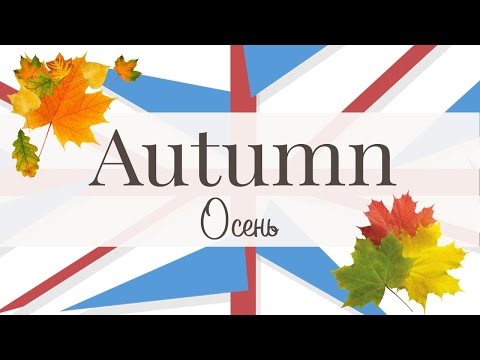 Видео: Осень. Autumn