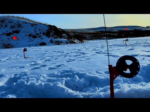 Видео: ДА КАК ТАК ТО?КУДА СТОЛЬКО РЫБЫ?!ДИКАЯ ЩУКА ЖИРУЕТ!!!