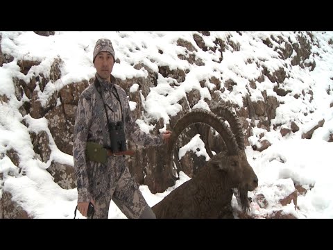 Видео: Горная Охота Казахстан ( Ibex hunting in Kazakhstan).