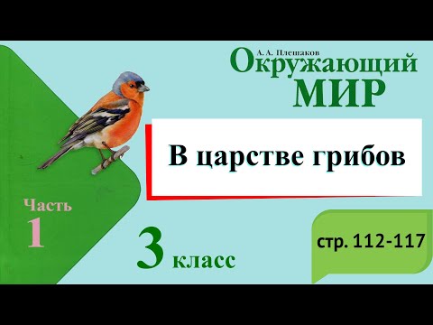 Видео: В царстве грибов. Окружающий мир. 3 класс, 1 часть. Учебник А. Плешаков стр. 112-117