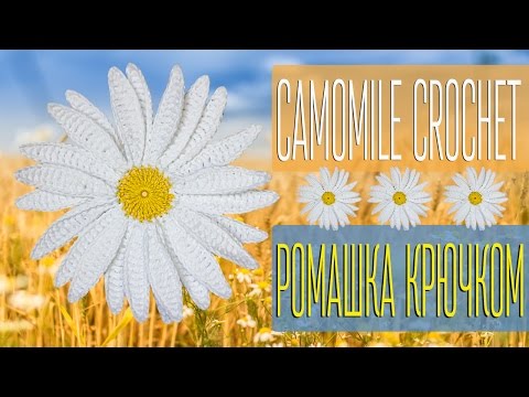 Видео: Вяжем ромашку крючком. How to crochet a camomile.