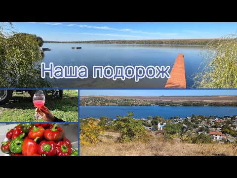 Видео: ПАРКАН та ВИНО готові/ Вихідні в МОЛДОВІ/ КОНСЕРВУЮ ГОГОШАРИ