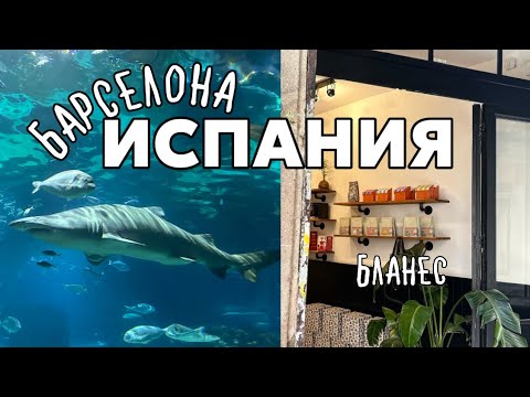 Видео: Отдых в Испании 🇪🇸 #Барселона Льорет-де-Мар Бланес 🌊