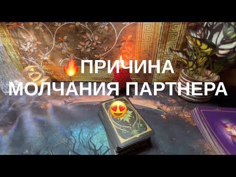 Видео: 12 ноября 2025 г.