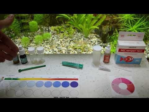 Видео: Появились водоросли - соотношение Редфилда