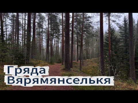 Видео: Гряда Вярямянселькя | Старая Финская ГЭС | Осенний лес с микроволком