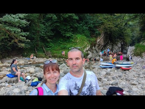 Видео: 2.8 Тисо-самшитовая роща.