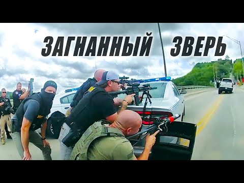 Видео: Преступник пошел на таран