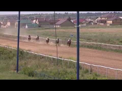 Видео: Элистинский Ипподpом. Большой Летний Приз 12 июня 2016 года