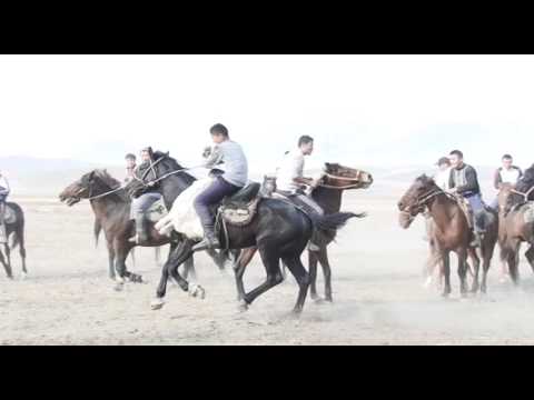 Видео: Кок жар Улак