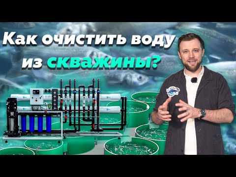 Видео: Как сделать ЗАГРЯЗНЕННУЮ ВОДУ пригодной для ПОДАЧИ НА УЗВ? | Очистка ПОДПИТОЧНОЙ воды на ФЕРМЕ УЗВ