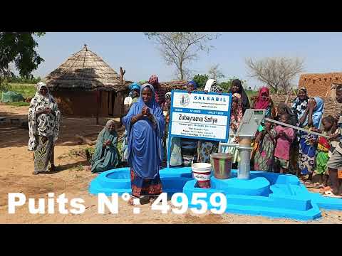 Видео: Puits / Колодец №: 4959 Niger