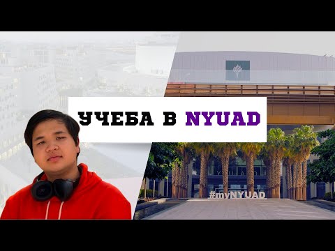 Видео: ГРАНТ В NYUAD | Интервью с Темирланом TrottTheDev