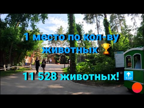 Видео: Новосибирский зоопарк . Часть 1.