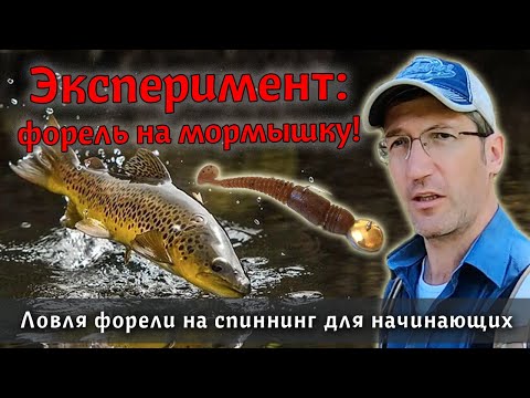 Видео: СПИННИНГ: а Вы ловили форель на мормышку? Провожу эксперимент! Как поймать форель | Мормышинг