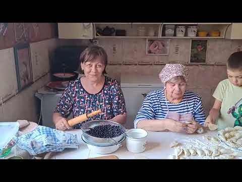 Видео: Как я съездила  в гости !!!