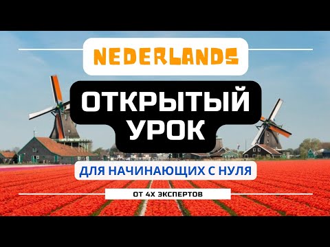 Видео: Как учить нидерландский, если вы начинаете с нуля? Открытый эфир 16/10/24