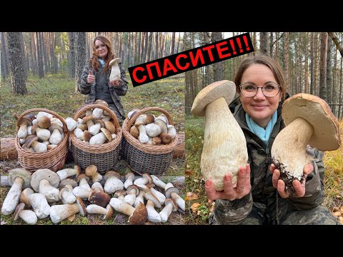 Видео: ГРИБЫ МУТАНТЫ АТАКУЮТ! ШОК НЕ ОЖИДАЛИ ТАКОГО! СКАЗКА ПРОДОЛЖАЕТСЯ!