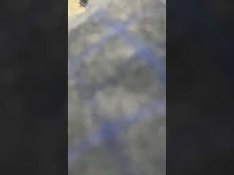 Видео: Роман Ондар  -  Авам шайы