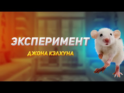 Видео: Почему мы обречены на гибель цивилизации. Эксперимент Джона Кэлхуна