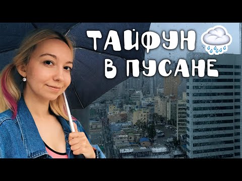 Видео: Корея VLOG#15 / Пусан: жесткий тайфун 🤭 тестируем корейский тиндер