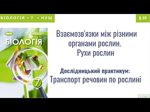 Видео: Біологія 7 НУШ Взаємозв'язки між органами рослин. Рухи рослин. Транспорт речовин по рослині (дослід)
