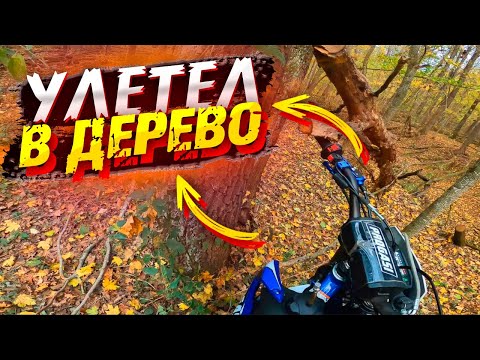 Видео: В ЛЕСУ НА ЛЫСОЙ РЕЗИНЕ !! ЭНДУРО КОМПАНИЕЙ...