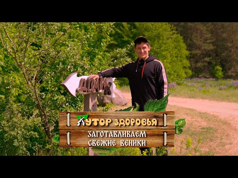 Видео: Мастер-класс по заготовке свежих веников на Хуторе Здоровья