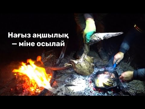 Видео: Табиғатта аң атып, стейк дайындадық. После охоты — самый вкусный стейк в жизни!