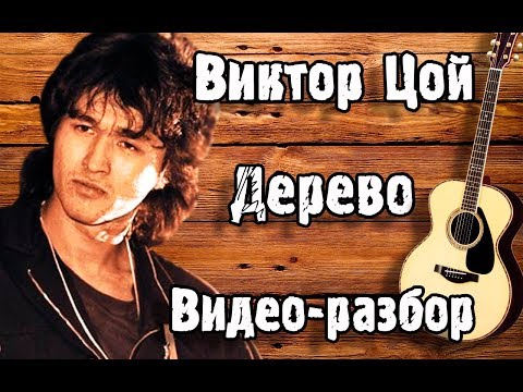 Видео: 🤘 ВИКТОР ЦОЙ - ДЕРЕВО РАЗБОР НА ГИТАРЕ | Как Играть Песню Дерево Кино