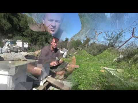 Видео: пчеловодство .важно новичку ! с чего начать часть 1