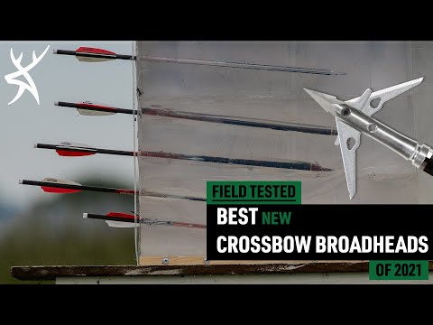 Видео: Лучшие наконечники для арбалета 2021 года | Полевые испытания