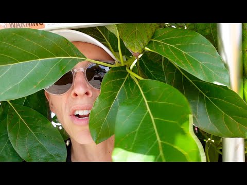 Видео: Не могу поверить, что мне пришлось сделать это снова!