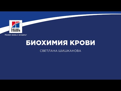 Видео: Вебинар на тему: «Биохимия крови. Что важно знать практикующему ветеринарному врачу».