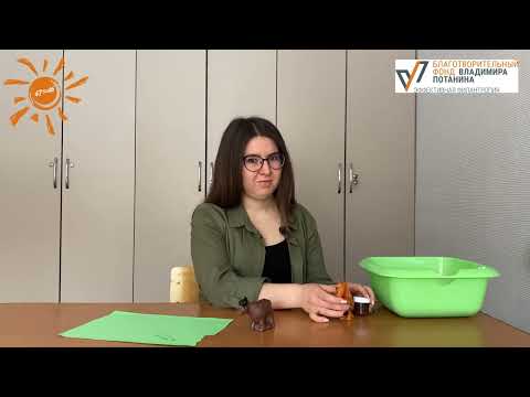 Видео: Вместе с мамой. Игры с фигурками домашних и диких животных