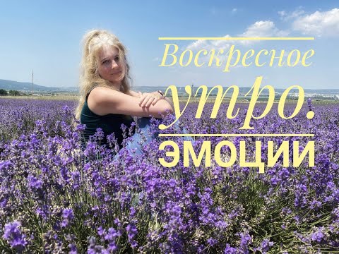 Видео: Воскресное утро. Эмоции.