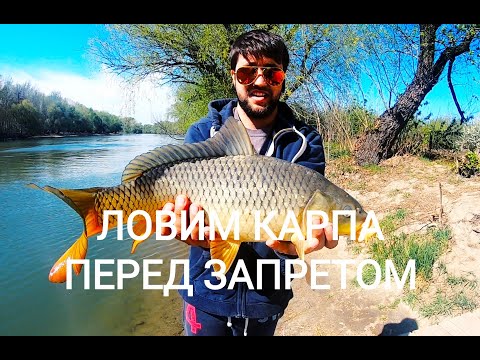 Видео: На что мы  ловим  карпа в апреле перед запретом на р.Турунчук с.Троицкое.