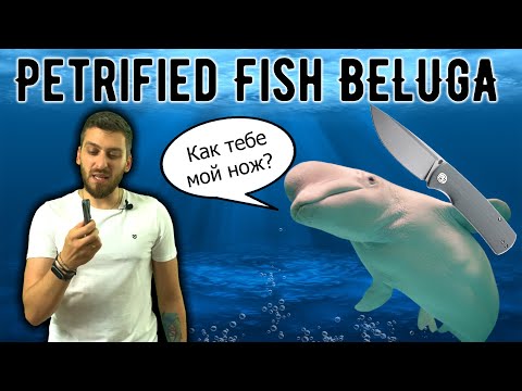 Видео: Удался ли дизайнерский дебют? - Обзор ножа Petrified Fish Beluga (PFP01) по дизайну NasHorn Knives