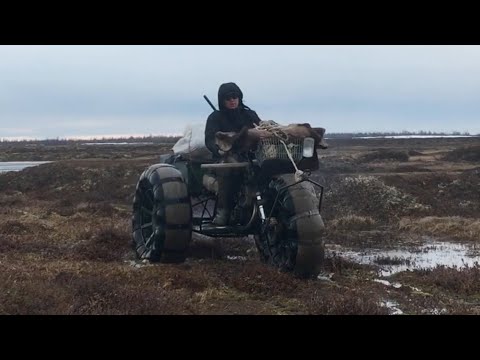 Видео: Трицикл СКЛ Буцефал, на базе мотоцикла Восход 3М(заводского производства) 👍