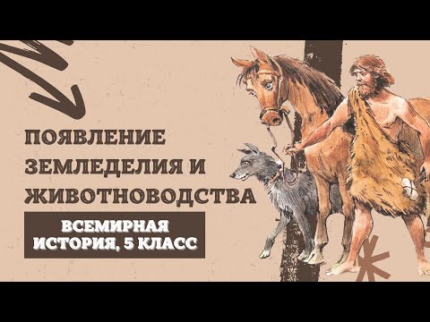 Видео: Появление земледелия и животноводства | История Древнего мира, 5 класс