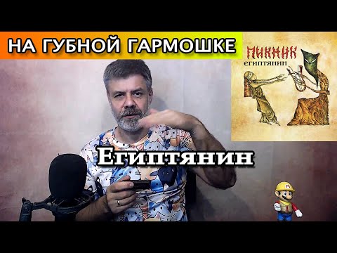 Видео: Египтянин на губной гармошке (кавер гр. Пикник)