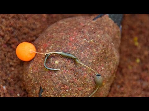 Видео: ПОЧЕМУ НЕ КЛЮЕТ КАРП?? 10 причин безклевья. #флэтфидер #ловлясазана #карпфишинг