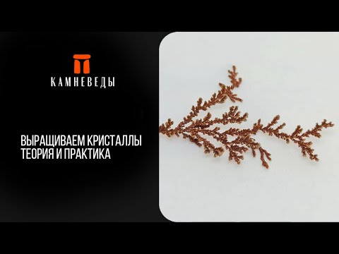 Видео: Выращиваем кристаллы. Теория и практика