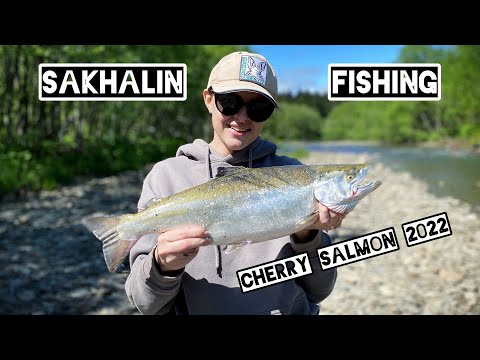 Видео: Снова сима, снова Сахалин, снова красивая река и море эмоций!