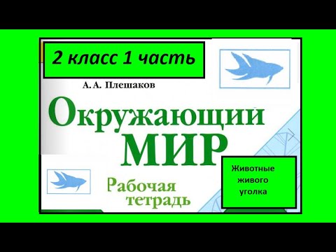 Видео: Окружающий мир 2 класс рабочая тетрадь Плешаков. Животные живого уголка